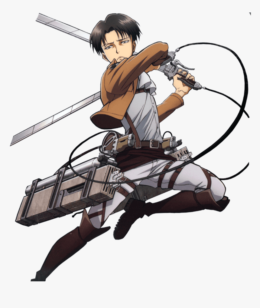 levi hairstyle